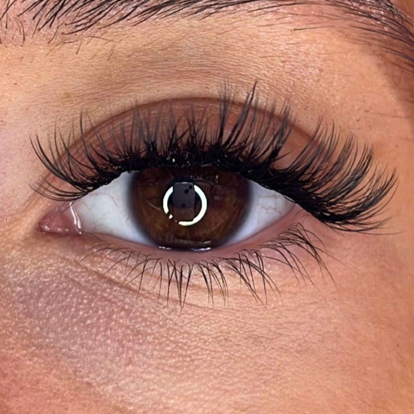 Lash Ribbons® Exclusive Lash Christmas Trees