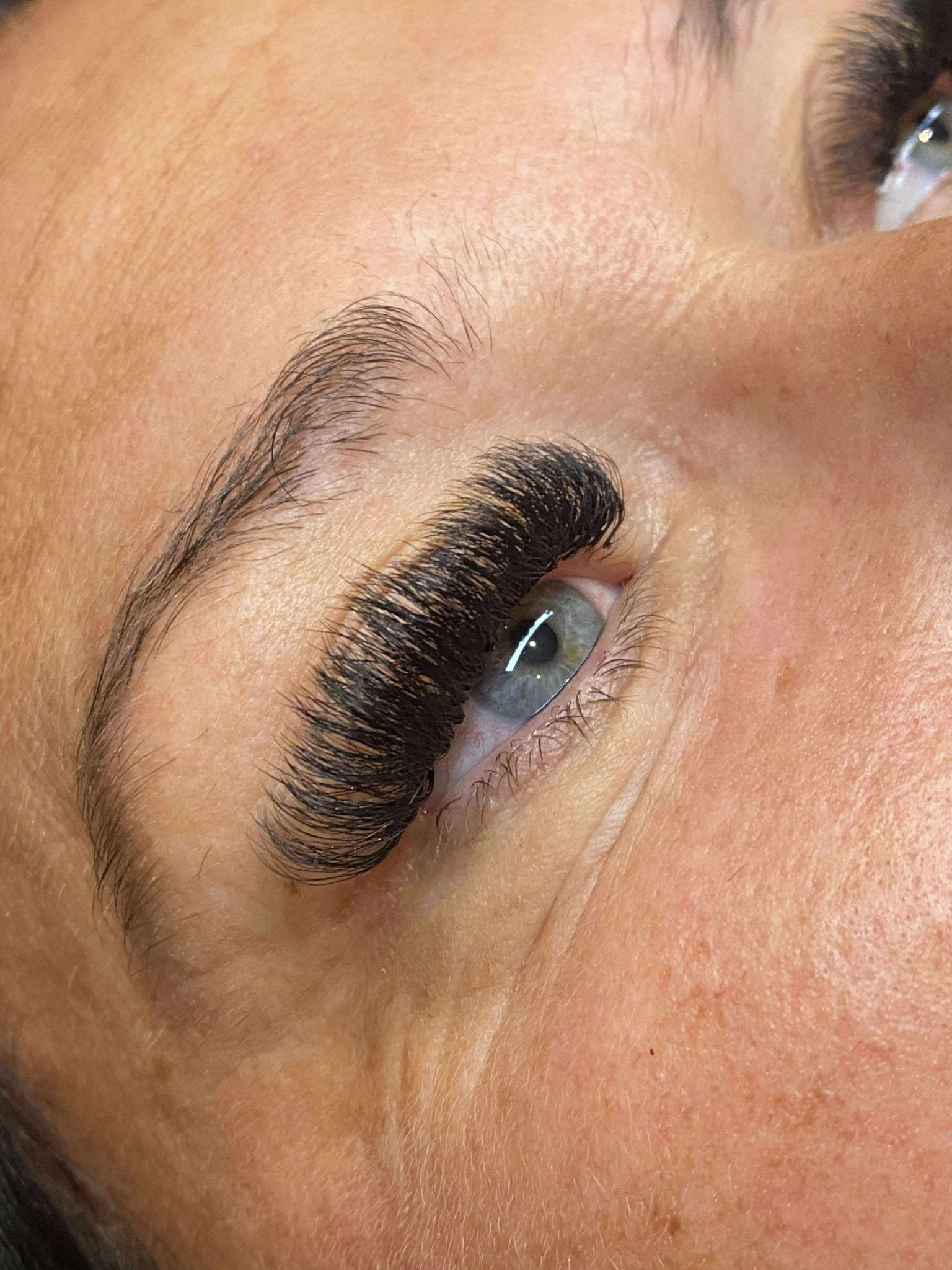 10D Clover Lash Mixed Tray