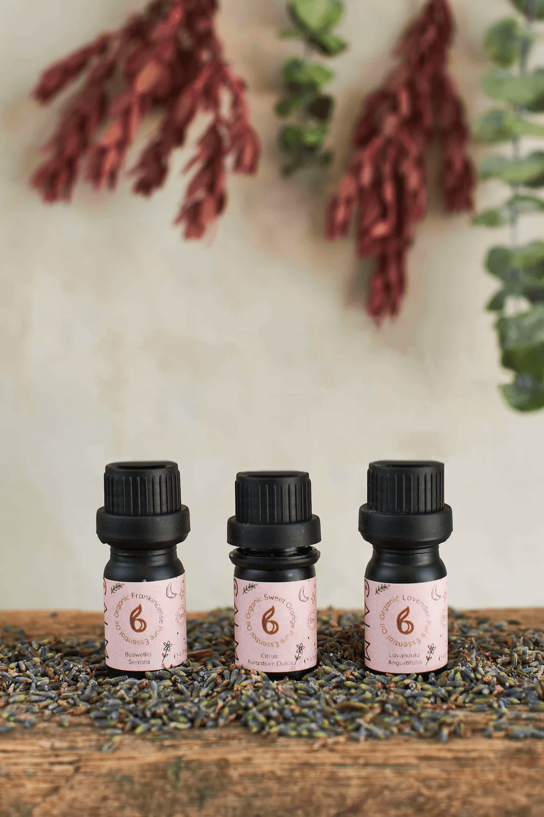 Breathe Calm Essential Oil Set - Stress Relief