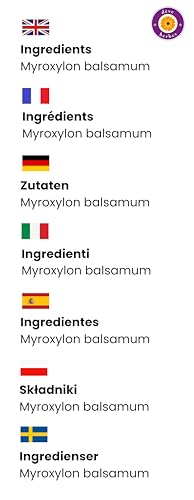 Deve Herbes Pure Tolu Balsam Essential Oil (Myroxylon balsamum) – 15ml | Steam Distilled