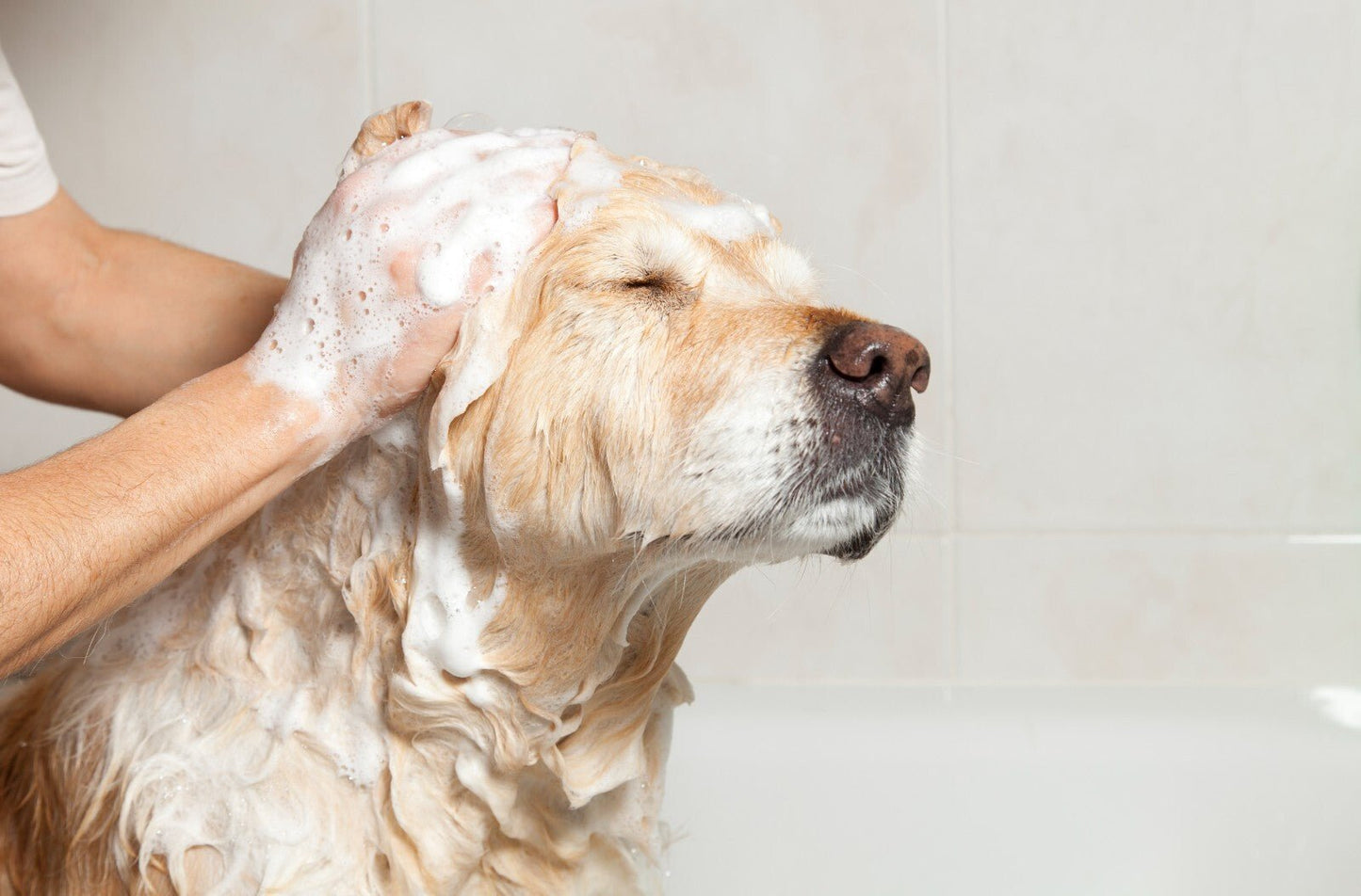 Dog Shampoo Natural Solid Soap Bar Pure Neem Oil Soap 200g Gentle Anti Midges