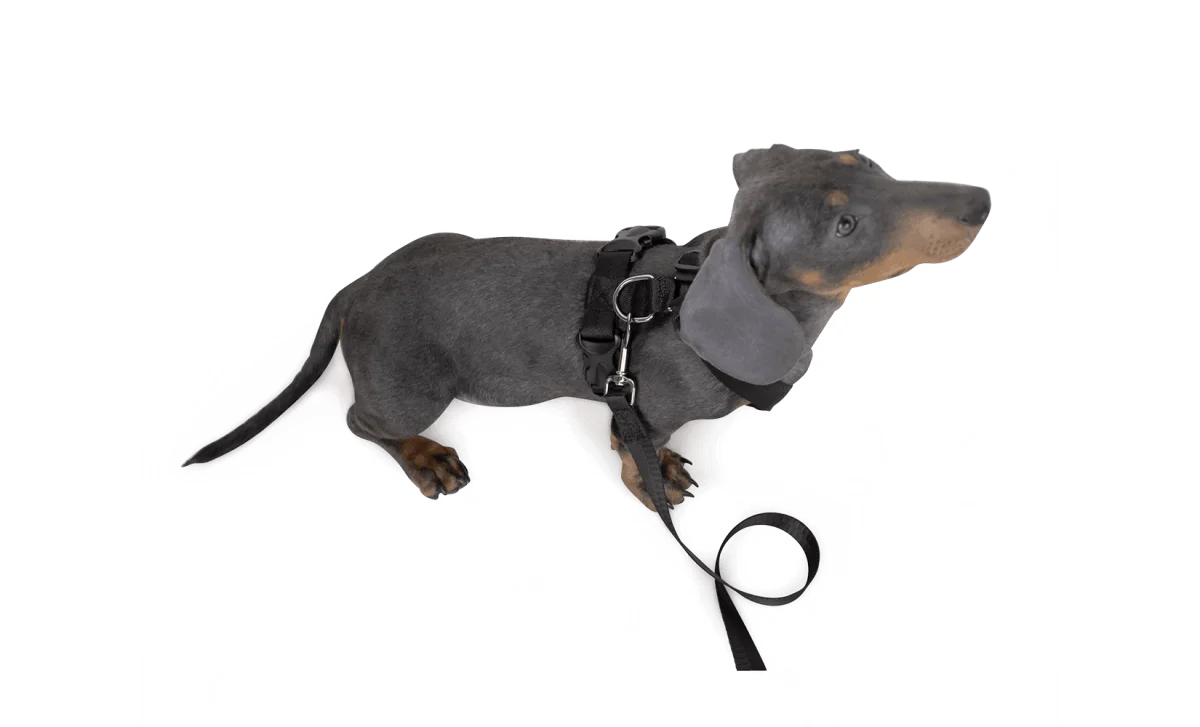 Dog Strap Harness - Small