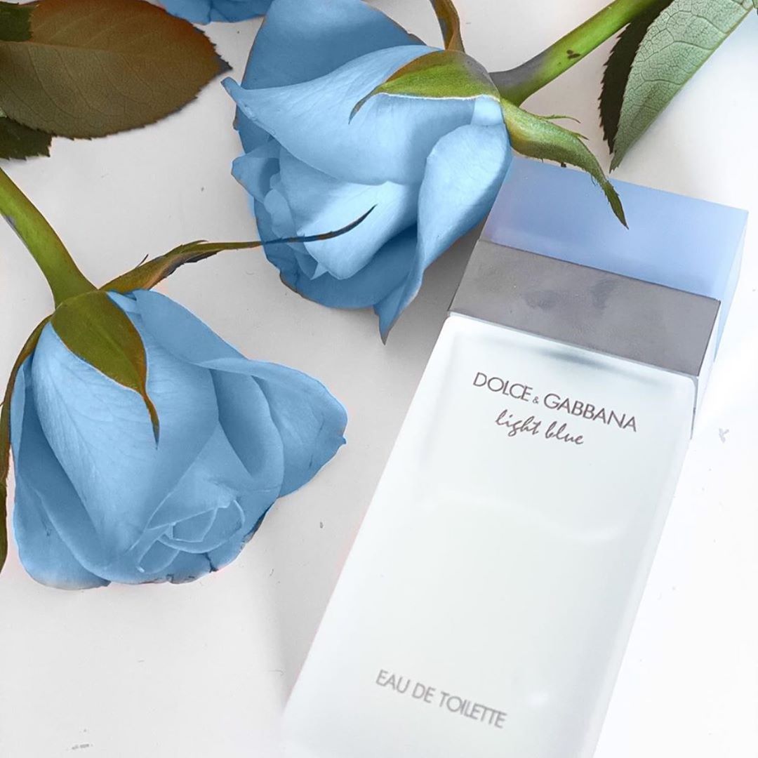 Dolce & Gabbana Light Blue Eau De Toilette 100ml Spray