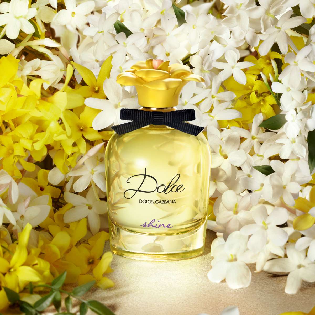 Dolce & Gabbana Dolce Shine Eau de Parfum 75ml Spray