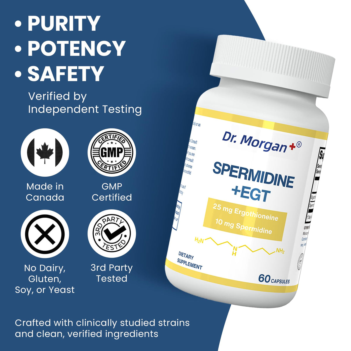 Dr. Morgan Spermidine & Ergothioneine – 99% Purity, Third-Party Tested