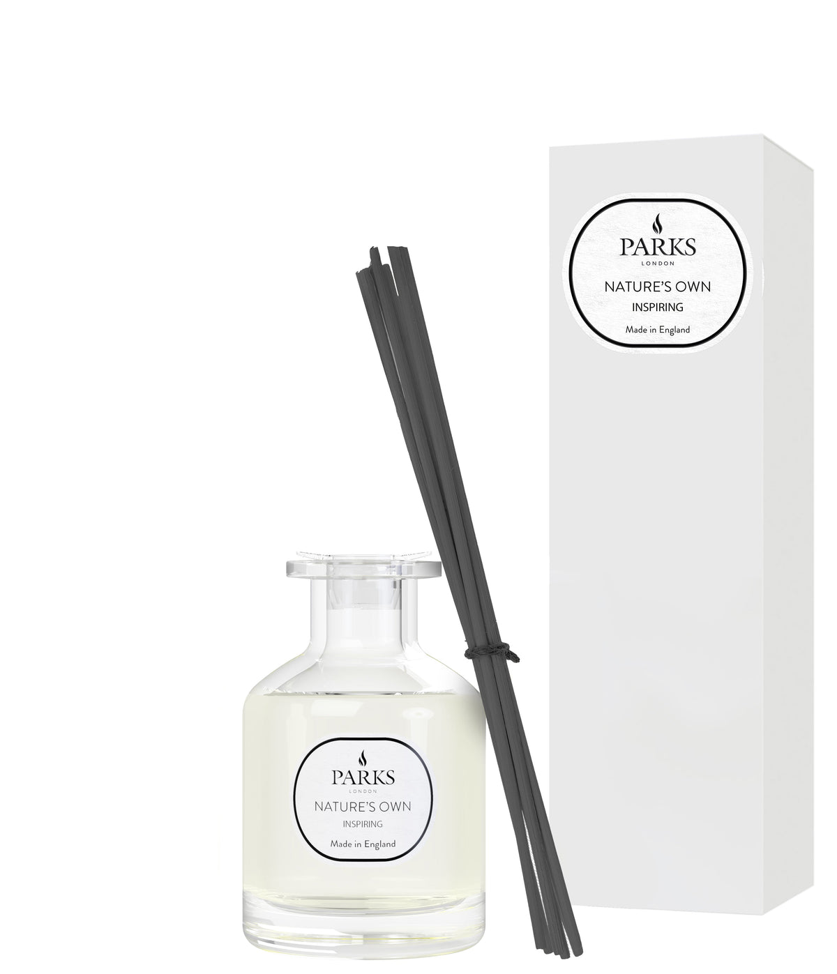 INSPIRING DIFFUSER 100ML