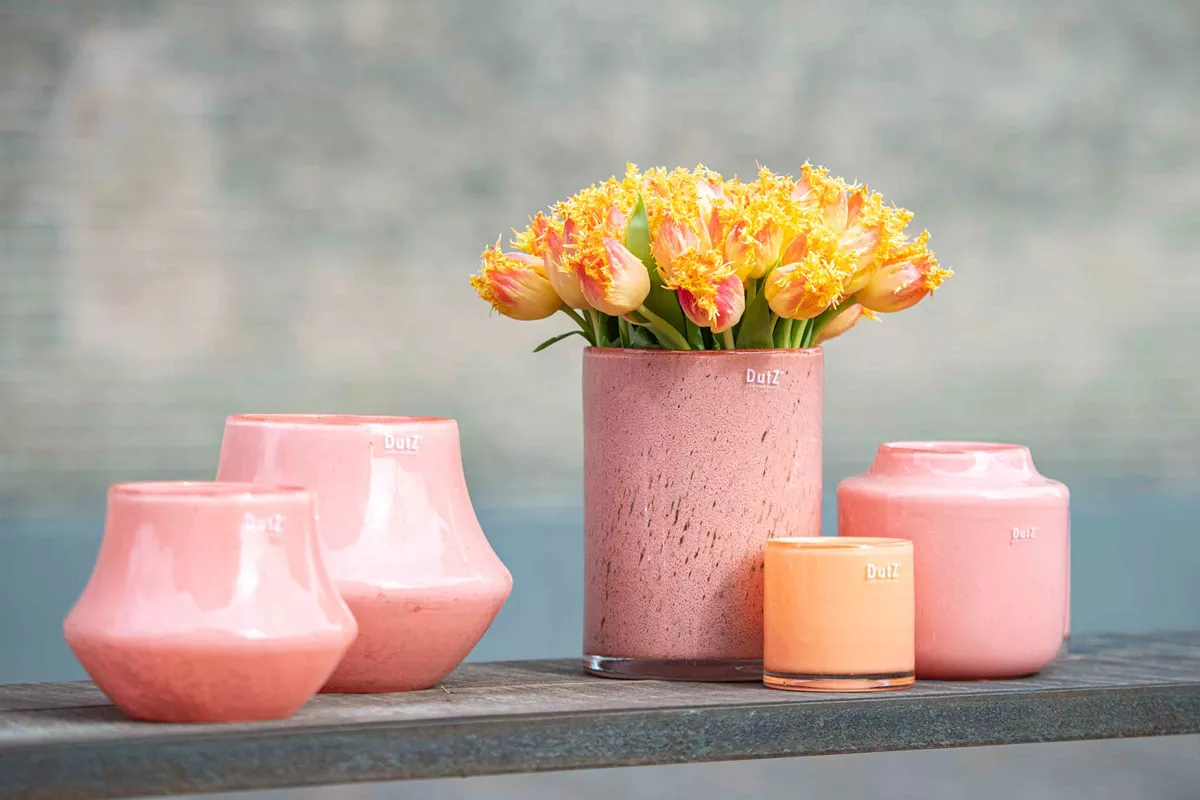 Orchid POT MARCO - PEACH