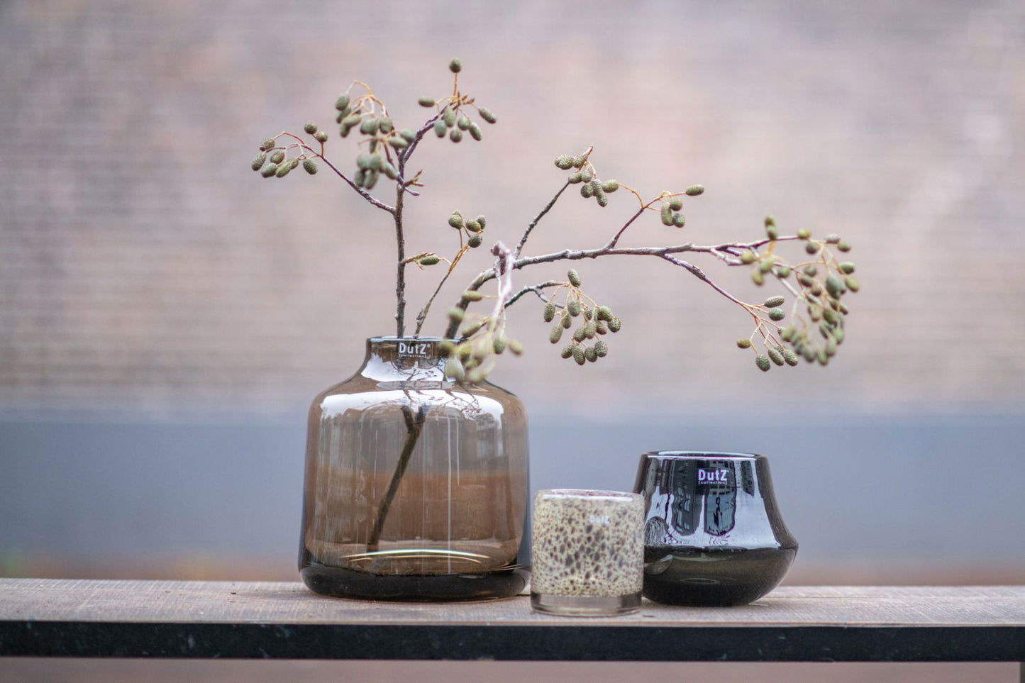 Orchid POT MARCO - SMOKE by DutZ