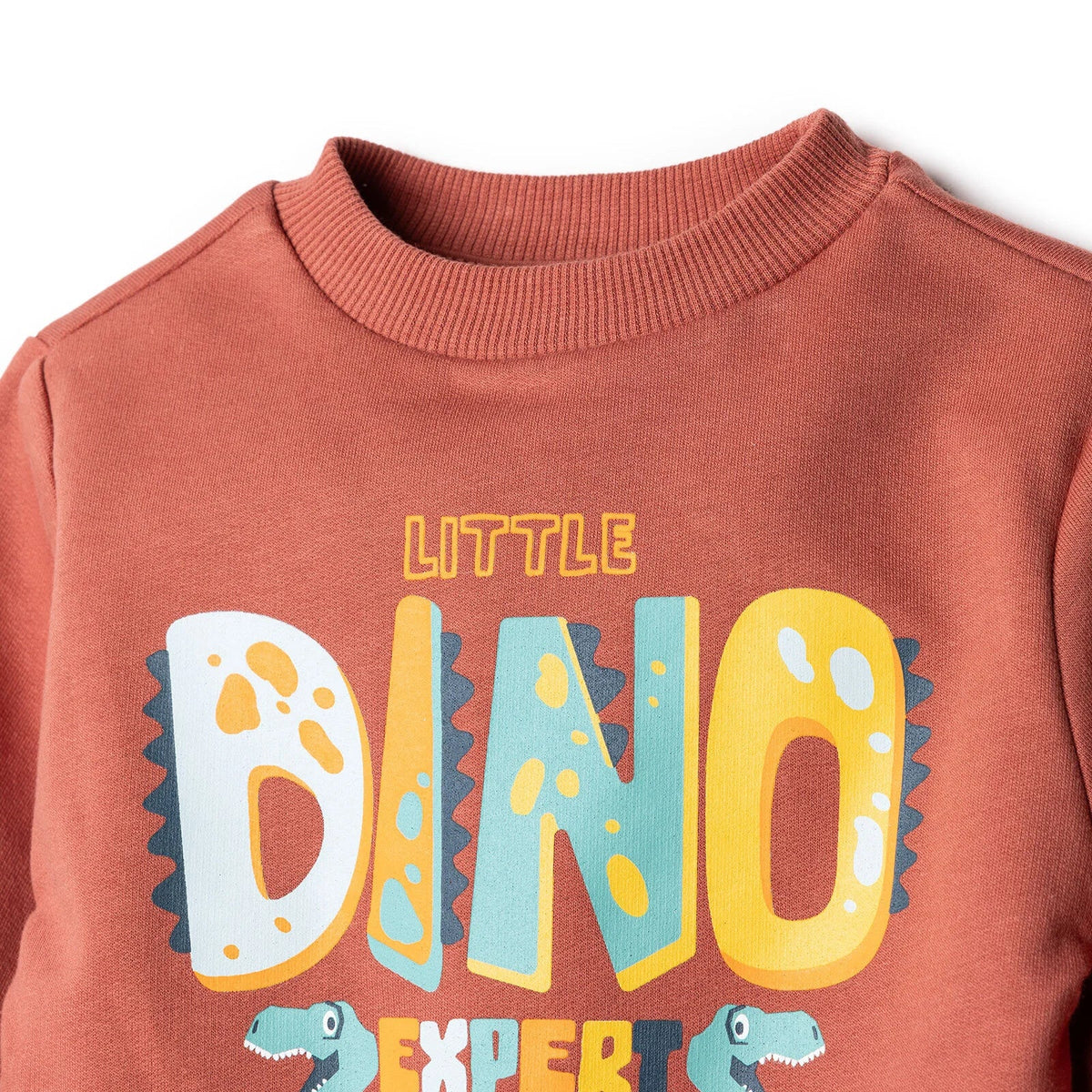 HelloBaby "Little Dino Expert" Slogan Brushed Baby Sweatshirt & Joggers Set (3-6 Months to 4-5 Years)