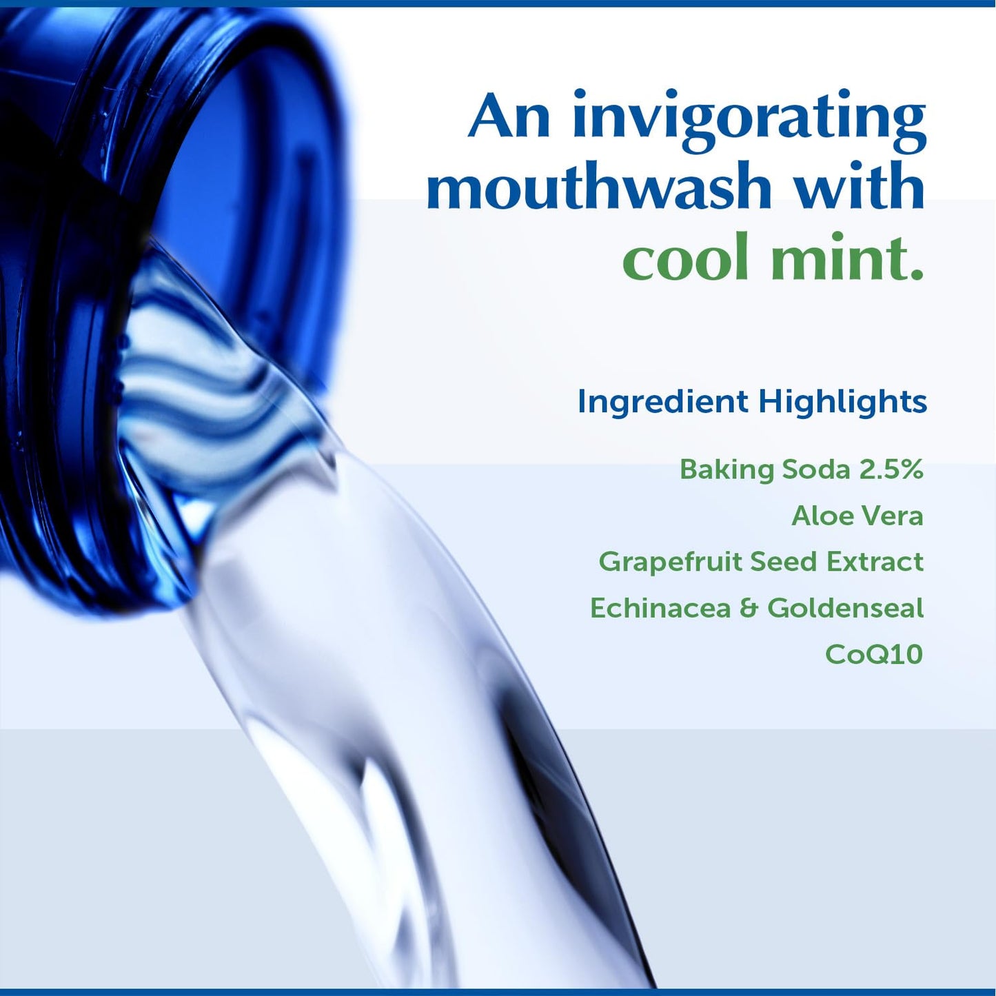 Eco-Dent Alcohol-Free Mint Mouthwash | Baking Soda Rinse for Adults