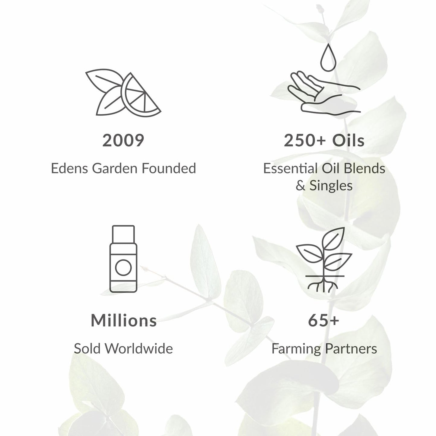 Edens Garden Honeysuckle Essential Oil Blend – 100% Pure Therapeutic Grade, 10 ml