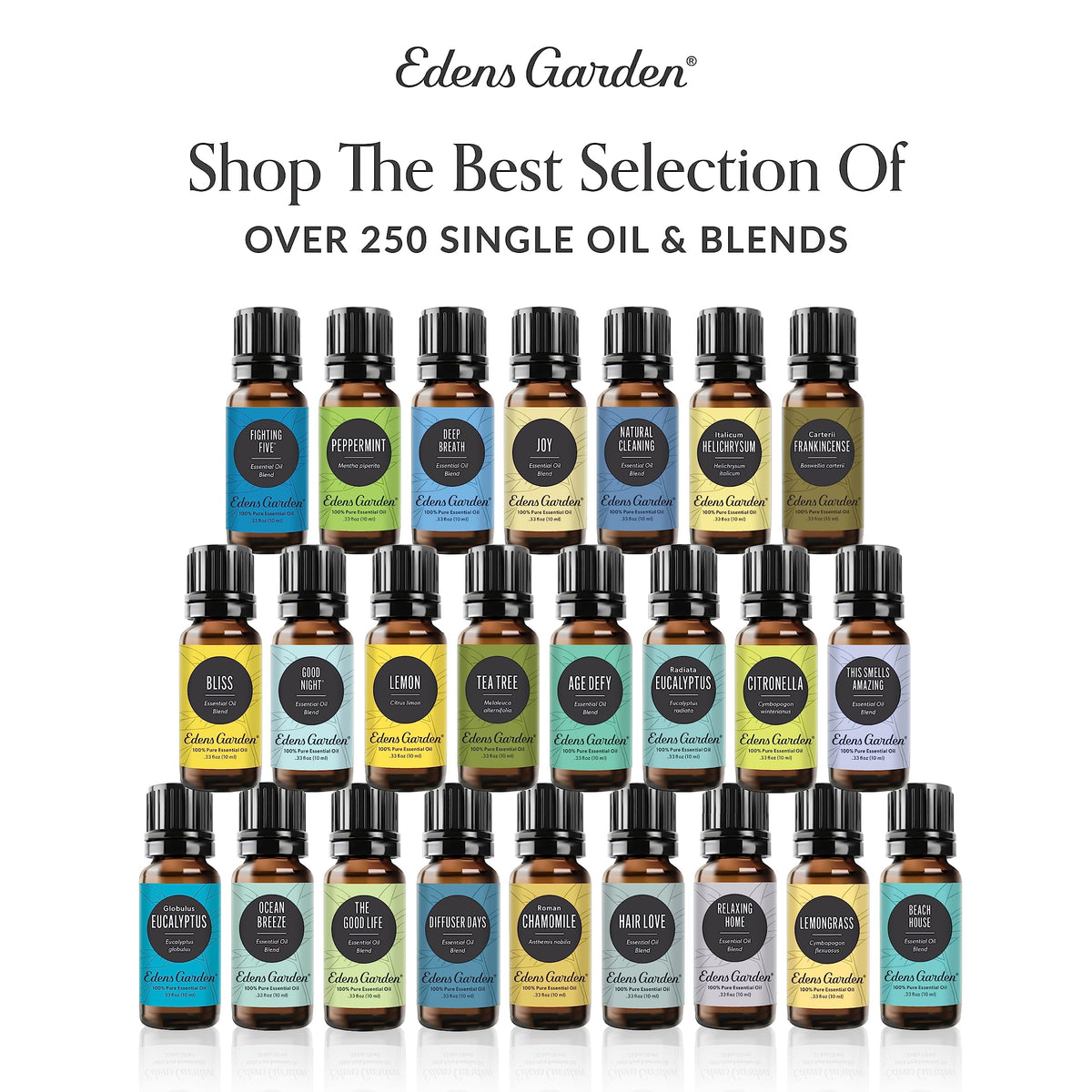 Edens Garden Essential Oils Top 24 Set – 24 x 10 ml, 100% Pure Therapeutic Grade