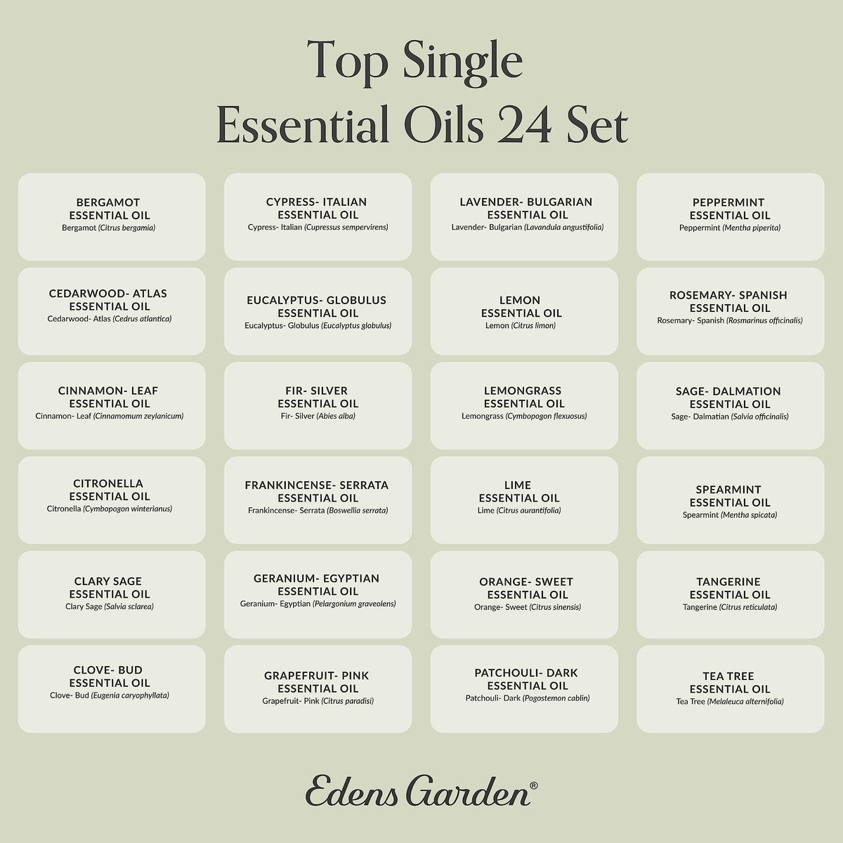 Edens Garden Essential Oils Top 24 Set – 24 x 10 ml, 100% Pure Therapeutic Grade