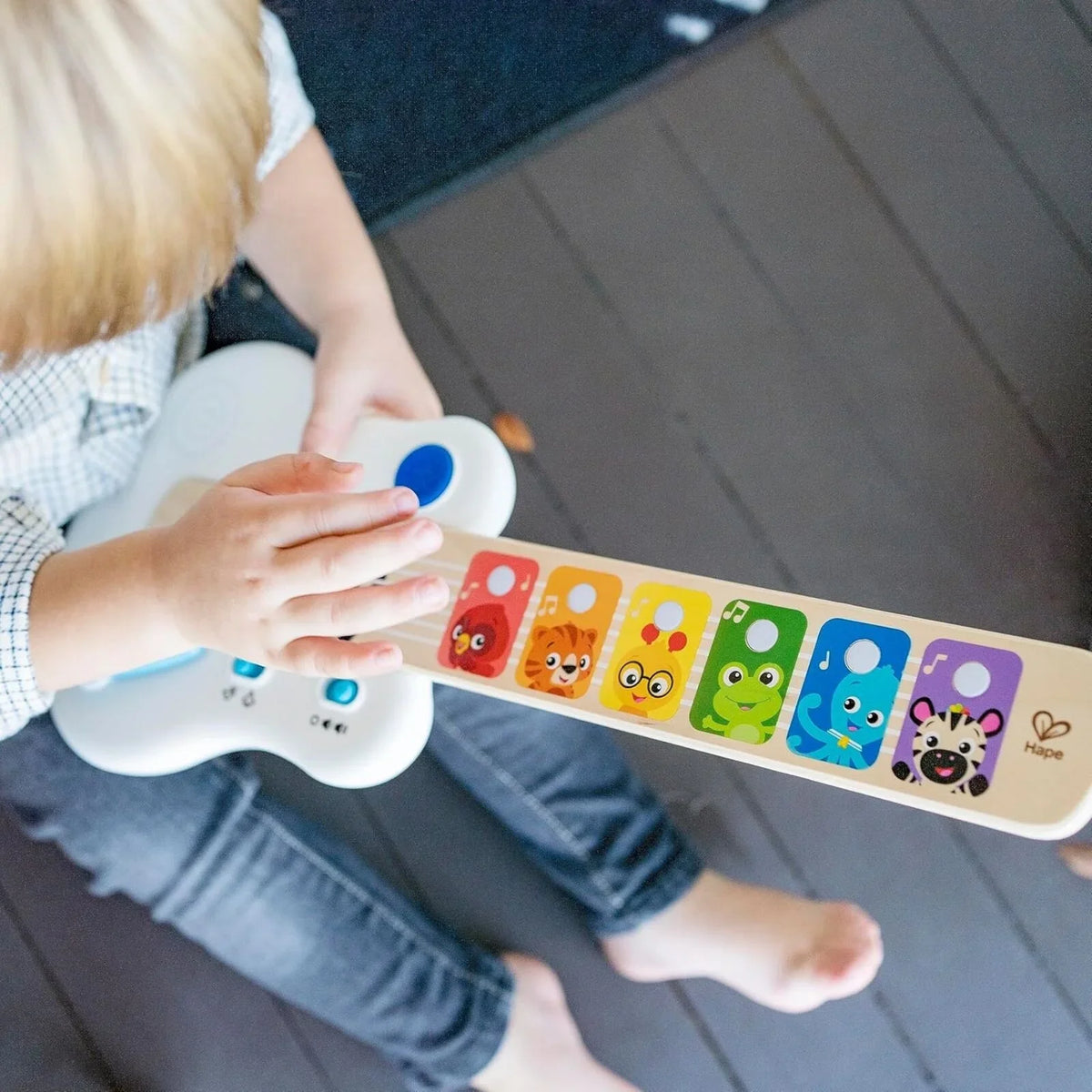 Baby Einstein Strum Along Songs
