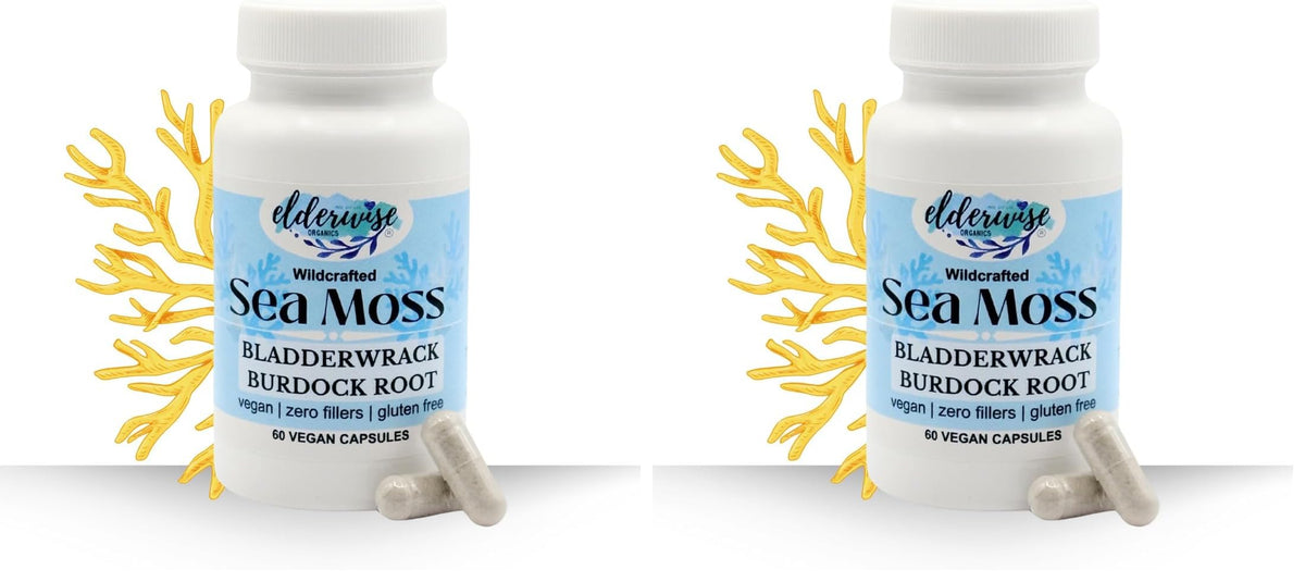 Elderwise Sea Moss Capsules 1400 mg - Burdockroot & Bladderwrack (Pack of 2)