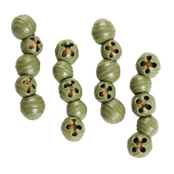 Elkwood Rattlesnaps Dental Broccoli & Apple Chk 10x50g