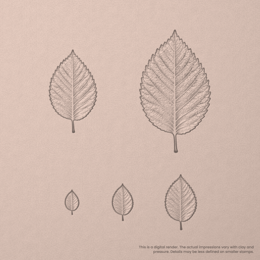 Elm Leaf Stamps - Photo Textured