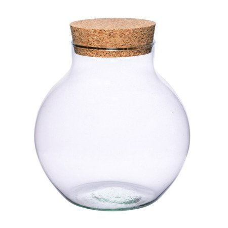 Terrarium Bowl Jar H19.5 x D19cm