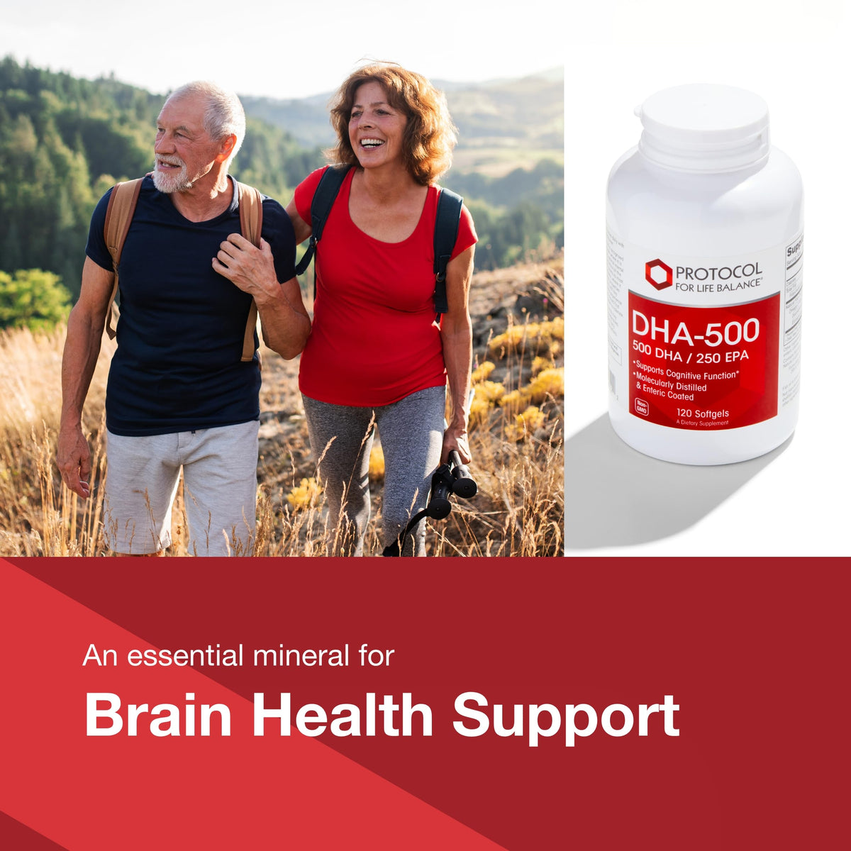 PROTOCOL FOR LIFE BALANCE DHA-500 - 120 Softgels | Brain Health & Easy Digestion