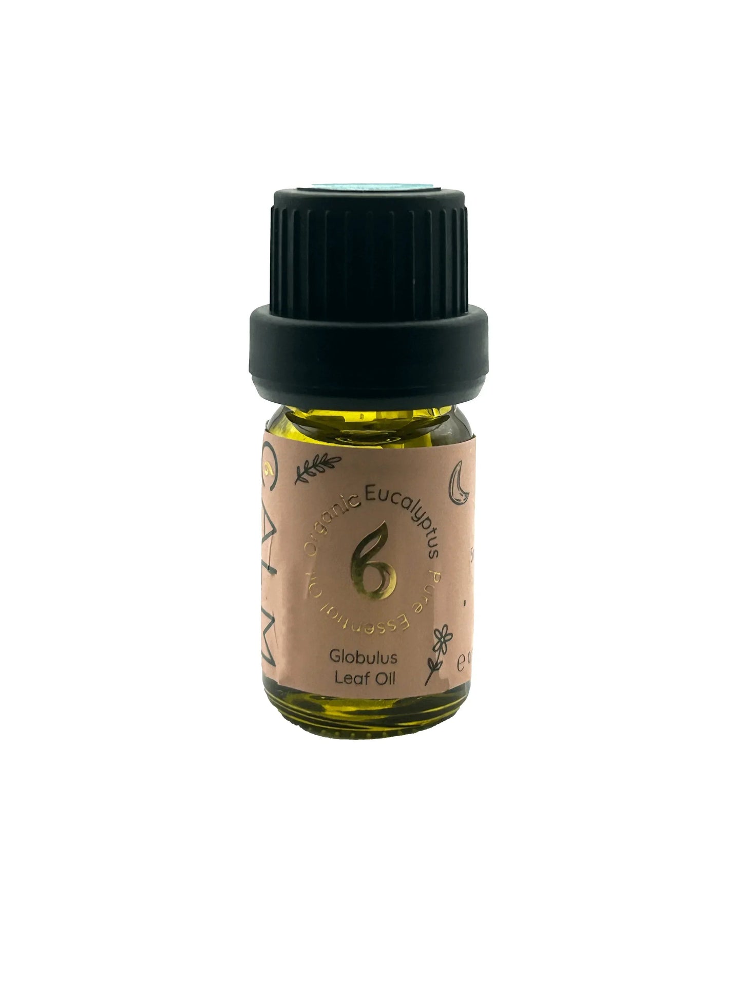 Full Set of 8 Organic Essential Oils + Treat!