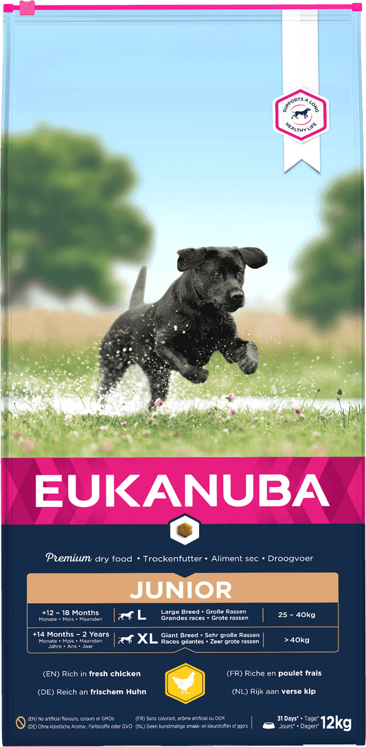 Eukanuba Junior Lrg Breed Chicken