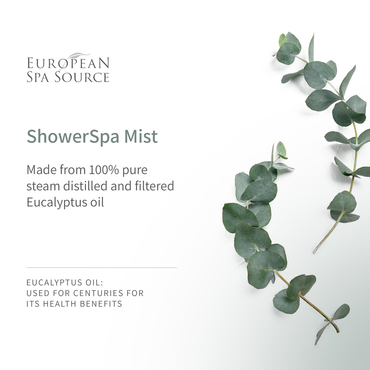 European Spa Source Jasmine + Eucalyptus Shower Spa Mist – 4 oz | Aromatherapy & Sinus Relief