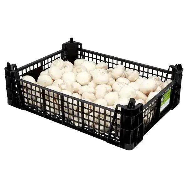 Farm Fresh Mushrooms 1.81kg