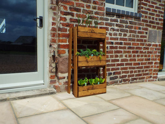 Charles Taylor Trading Regular Herb Garden Planter Brown