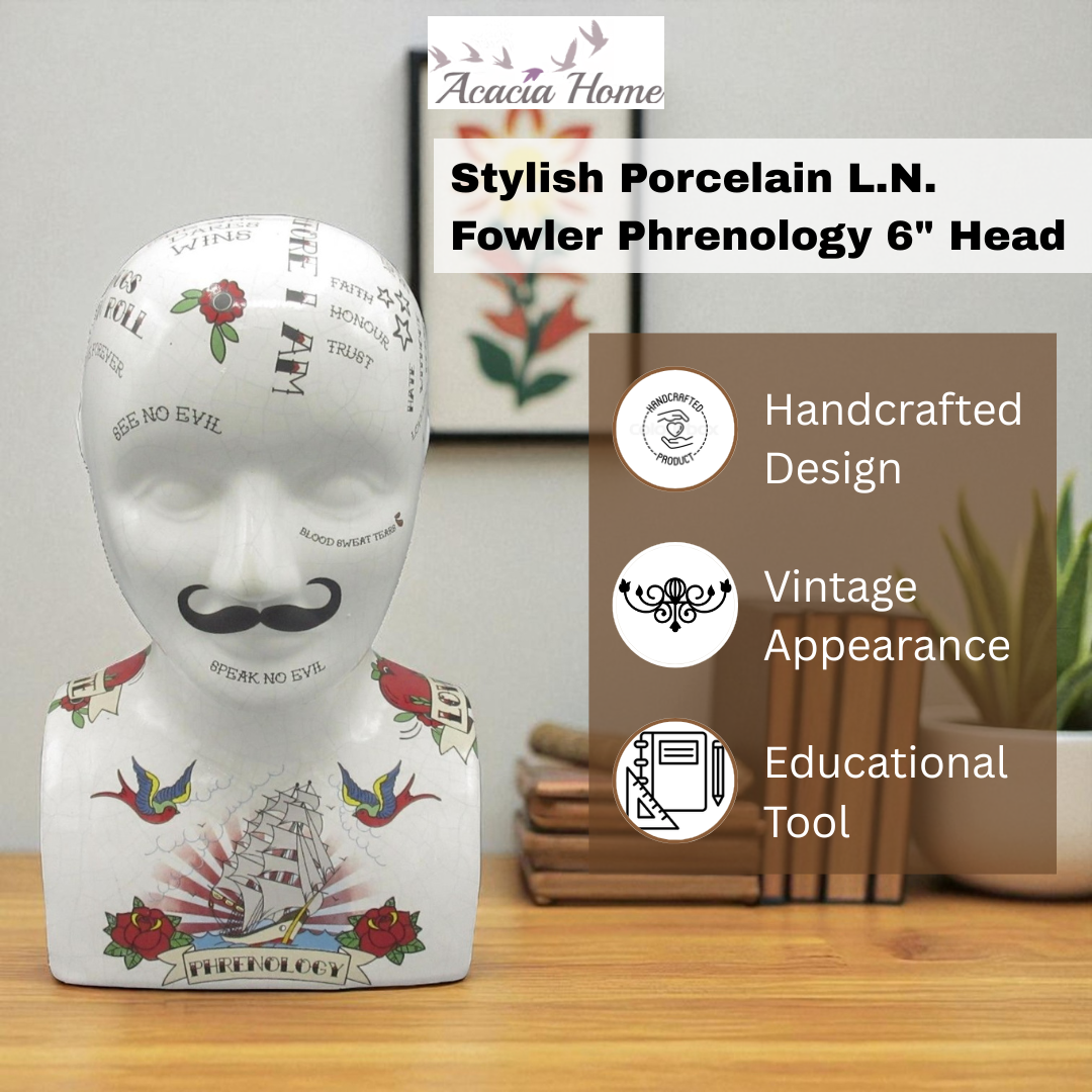 6" PHRENOLOGY HEAD