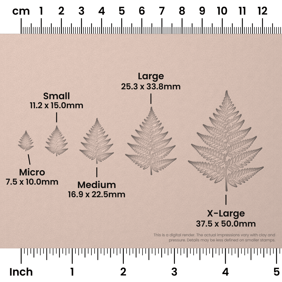 Fern Leaf Stamps - Photo Textured