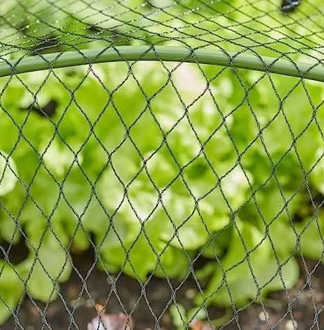 2m x 4m Fine Mesh Garden Pond Netting for Bird Protection