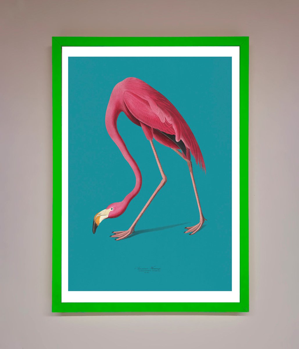 Flamingo Walks Blue Framed Print