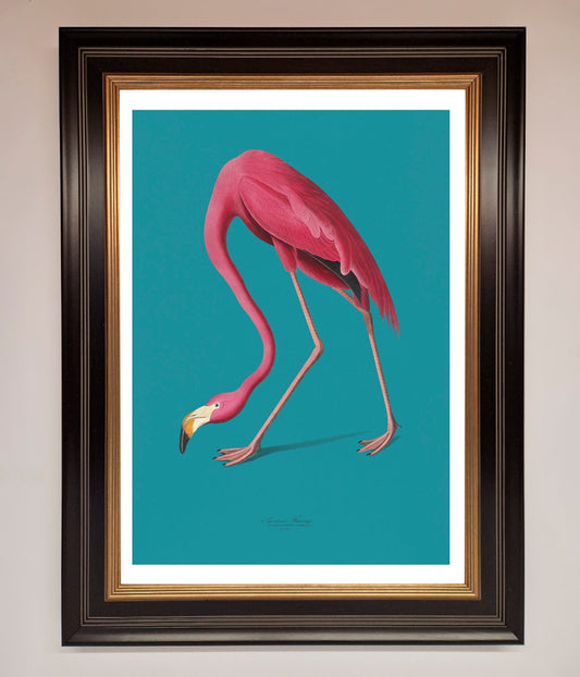 Flamingo Walks Blue Framed Print