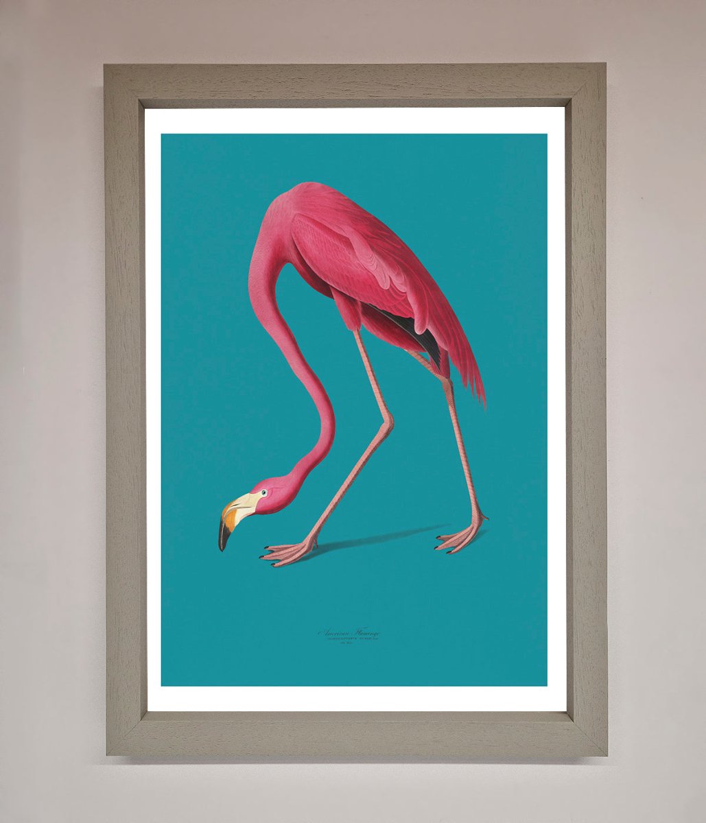 Flamingo Walks Blue Framed Print