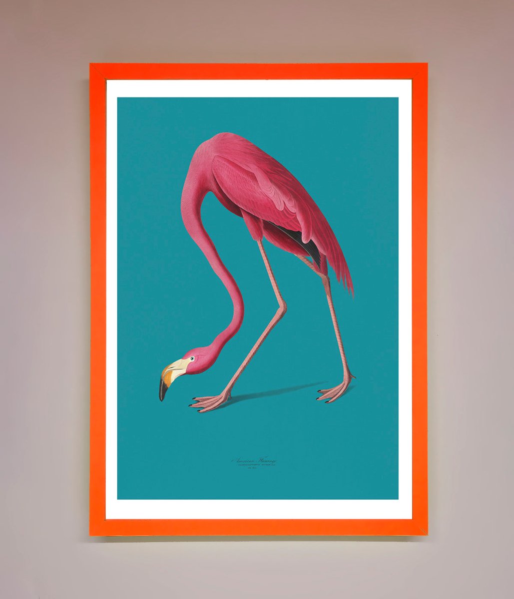 Flamingo Walks Blue Framed Print