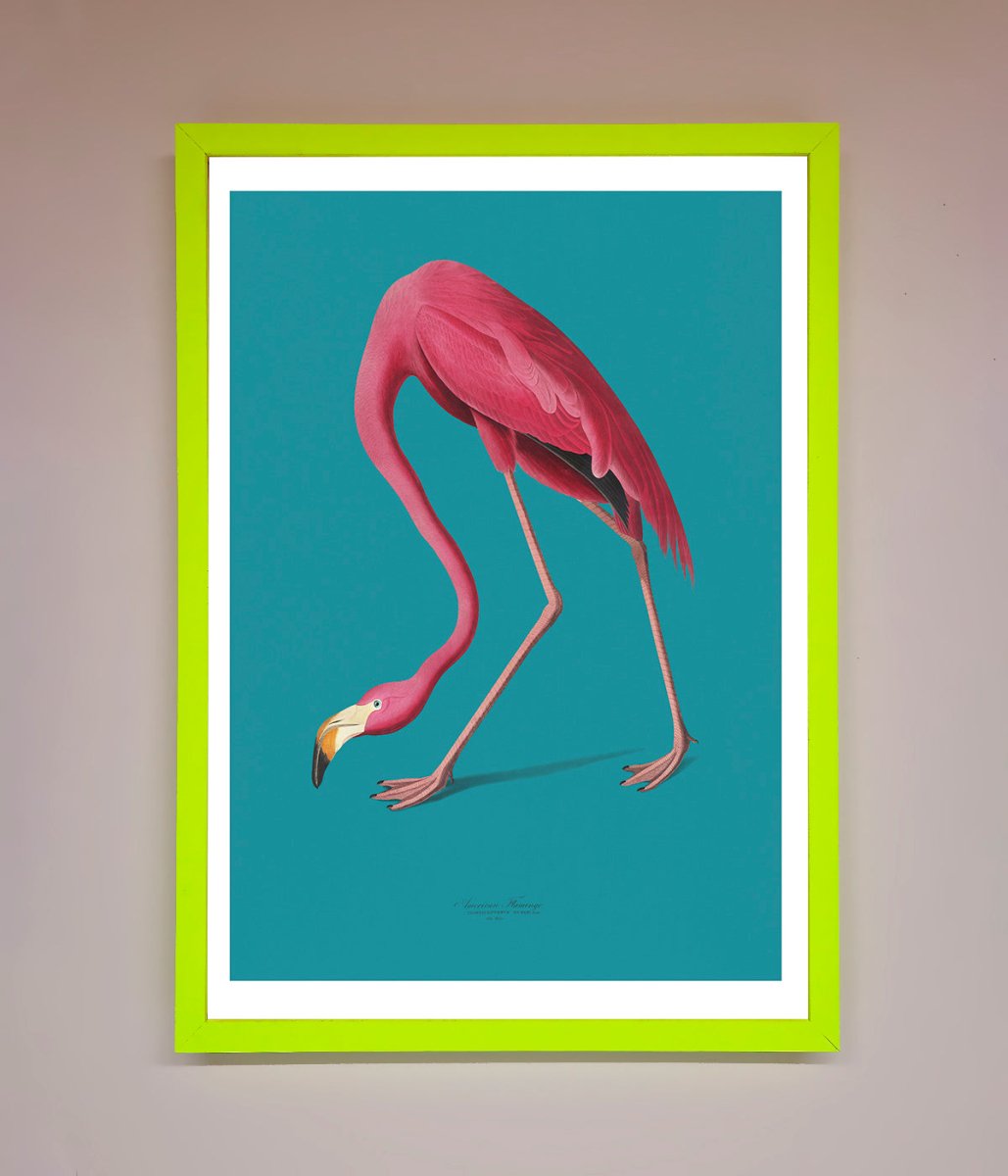 Flamingo Walks Blue Framed Print