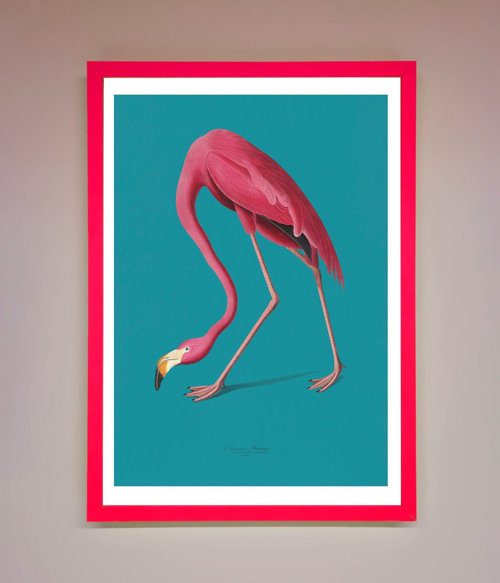 Flamingo Walks Blue Framed Print