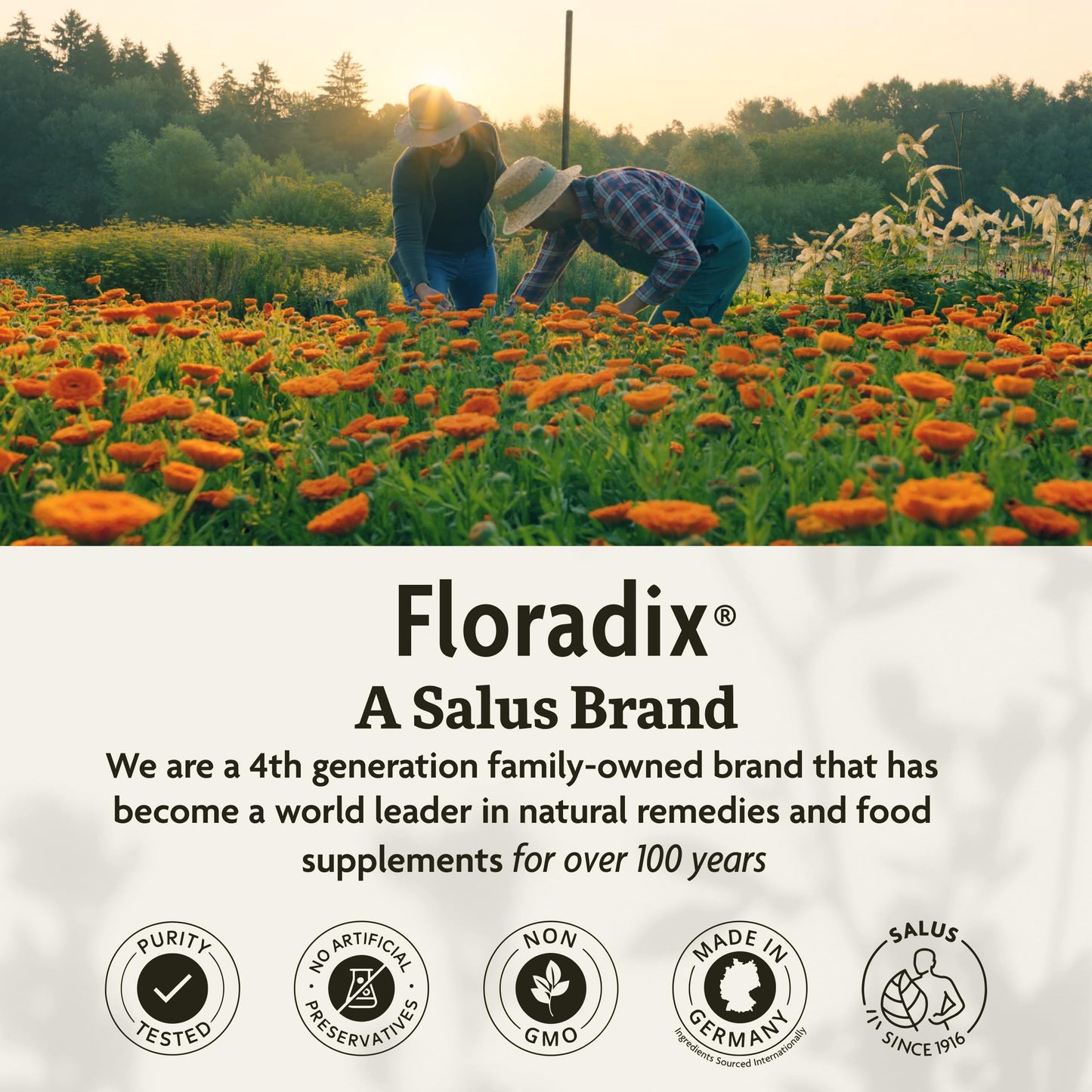 Floradix Floravital Liquid Iron & Vitamin Formula – Vegan, Gluten-Free, Non-GMO (23.7 fl oz)
