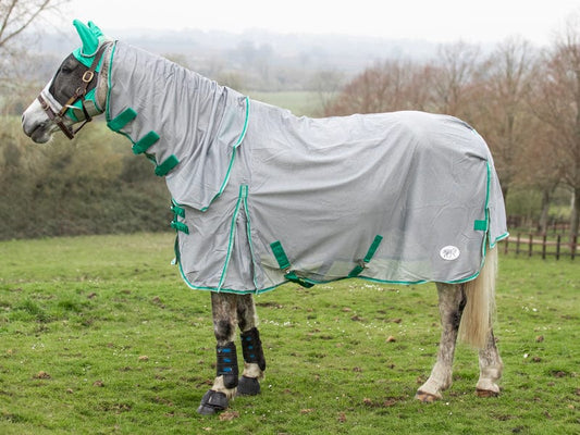 Mesh Fly Rug - Grey/Green