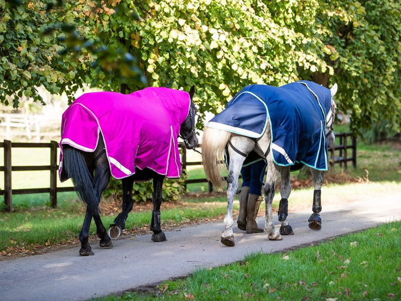 450g Ultimate Fixed Neck Turnout Rug - Mulberry