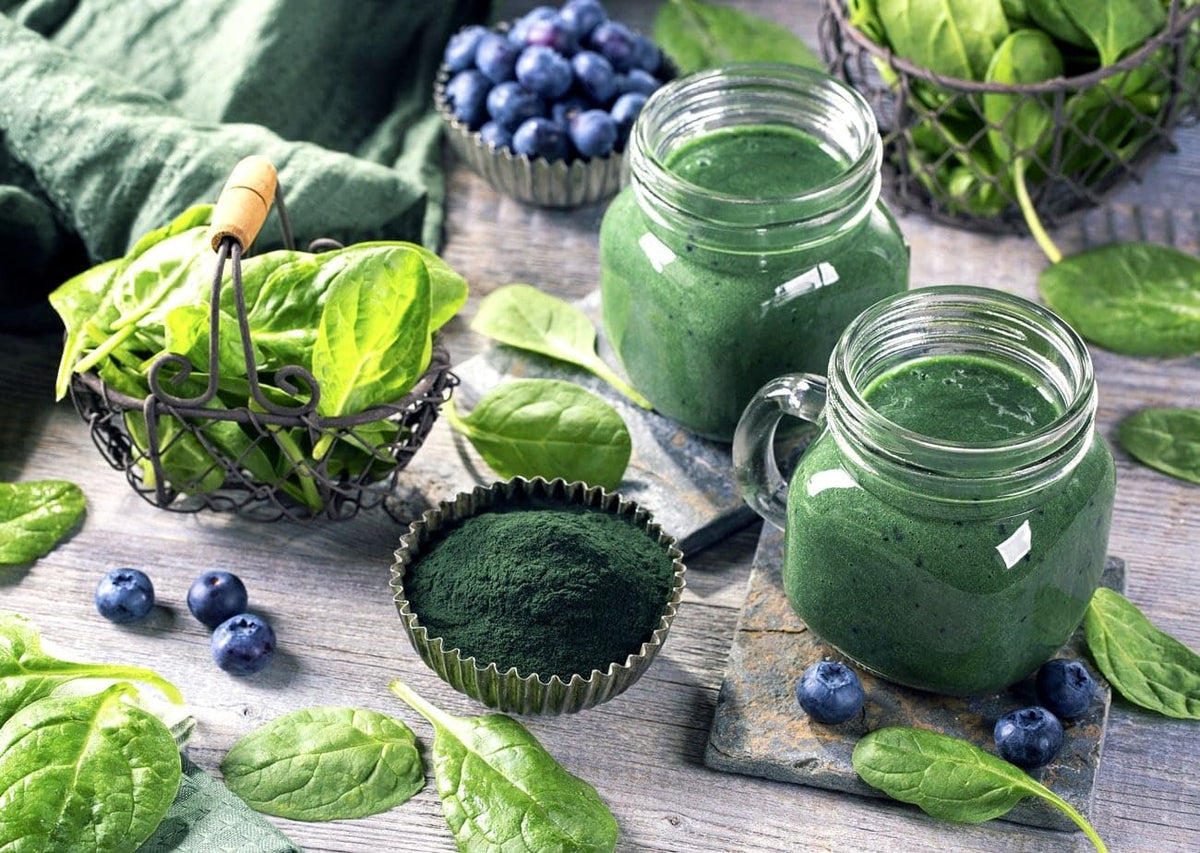 Food to Live Chlorella Powder – 8 Pounds | Kosher, Raw Green Algae, Vegan Superfood
