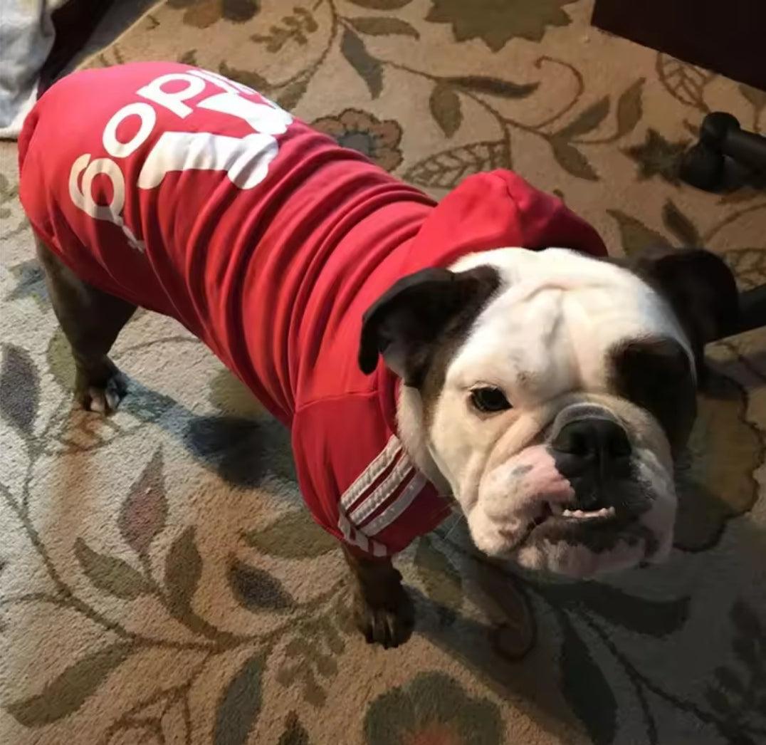 Footy Dog Hoody!