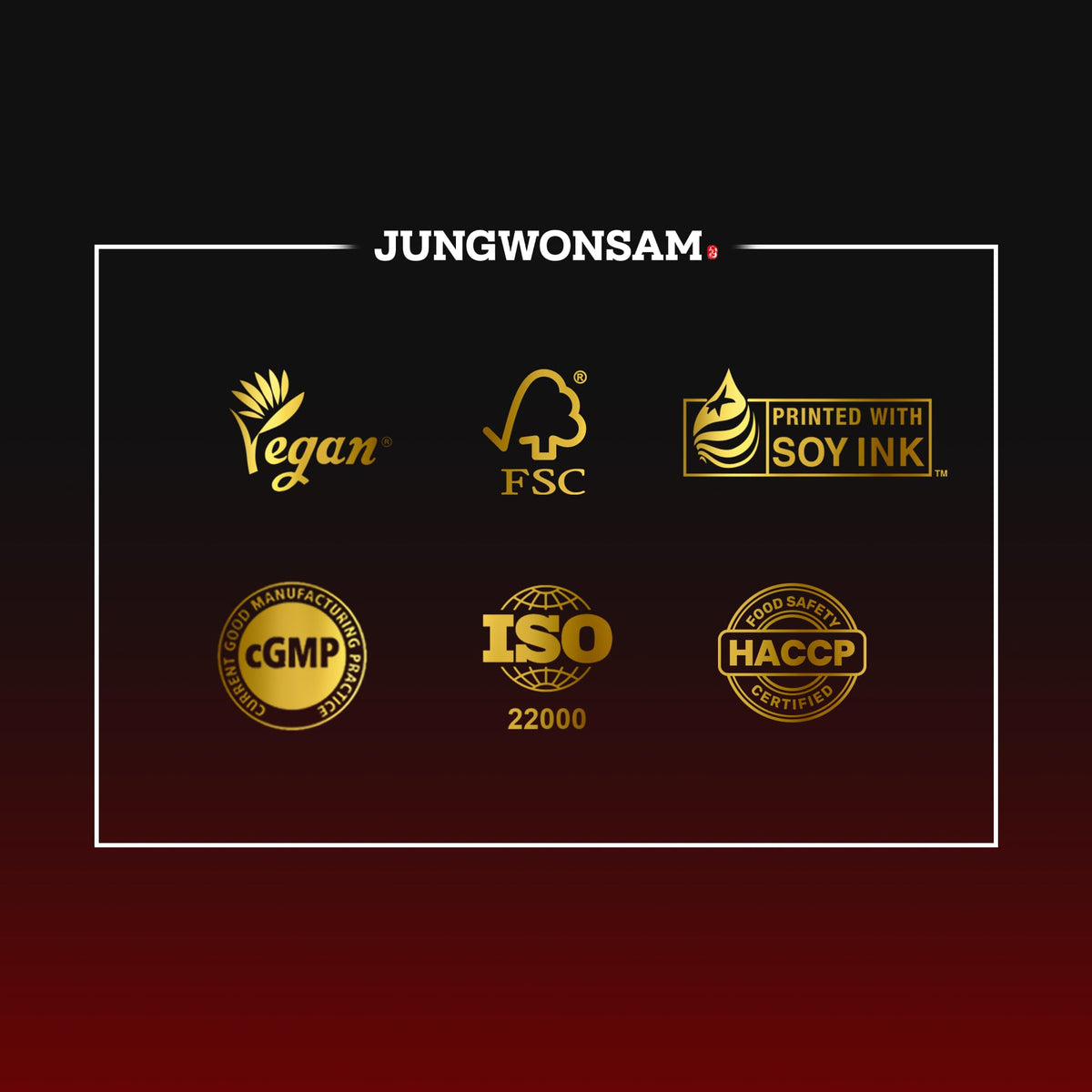 JUNGWONSAM 6-Year Korean Red Ginseng 365 | 30 Sticks | Vegan | 7mg Ginsenosides Per Stick