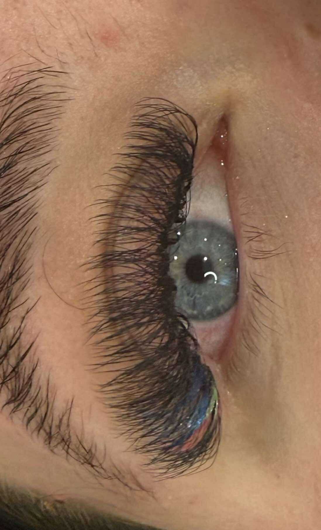 8D Clover Lash Mixed Tray