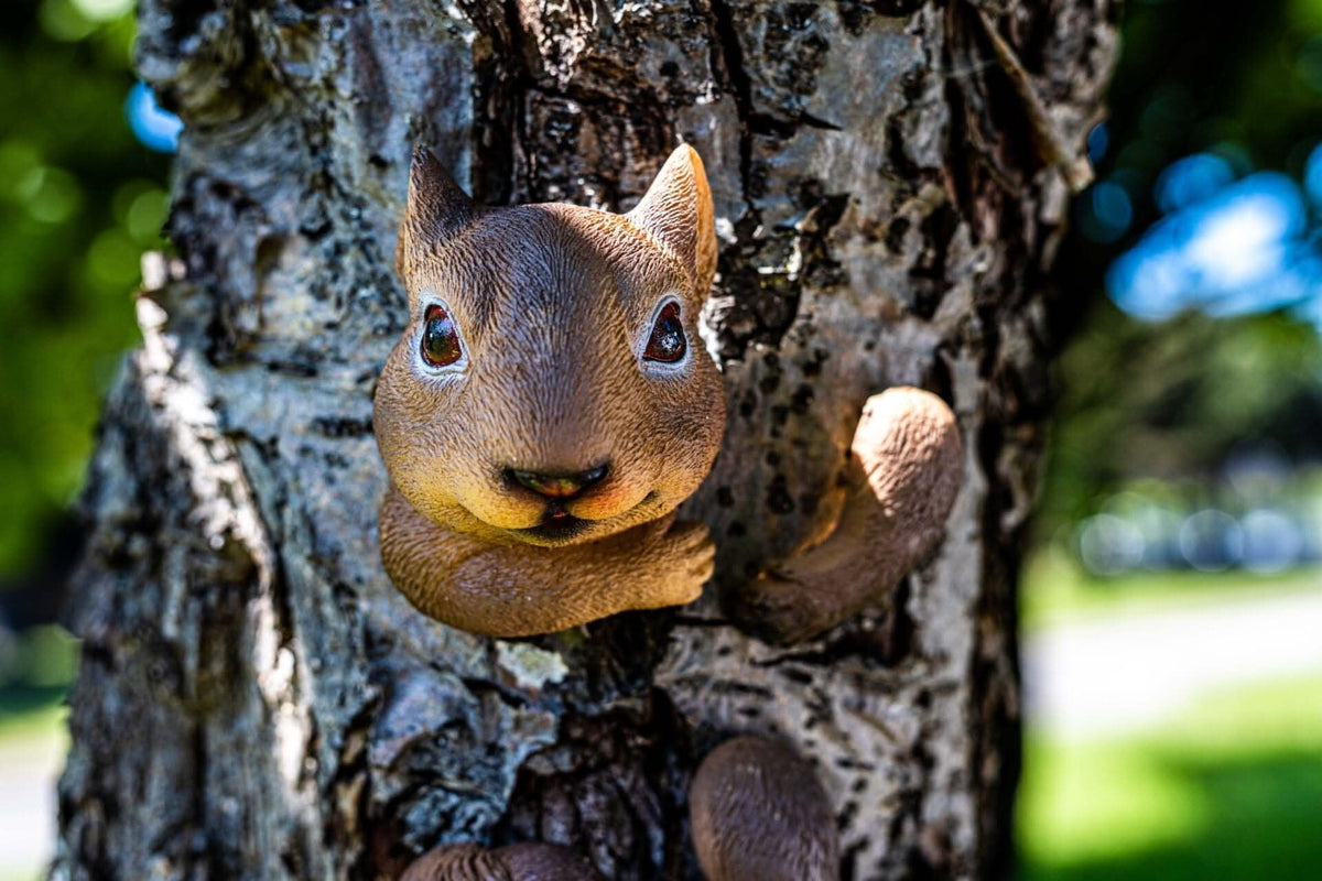 Resin Tree Hugging Squirrel Peeking Garden Ornament