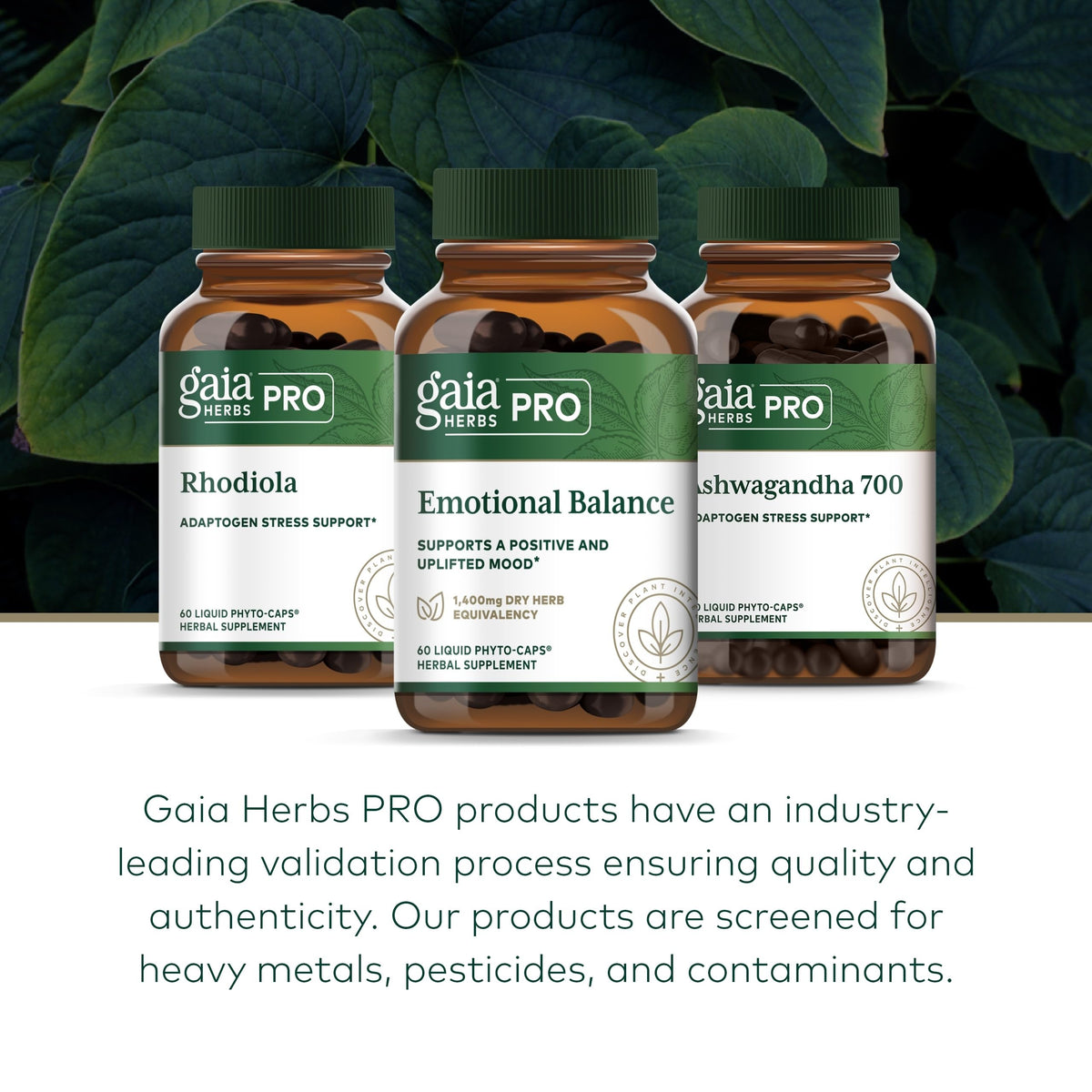 GAIA HERBS PRO Emotional Balance | Stress & Cognitive Health | Vegan 60 Servings
