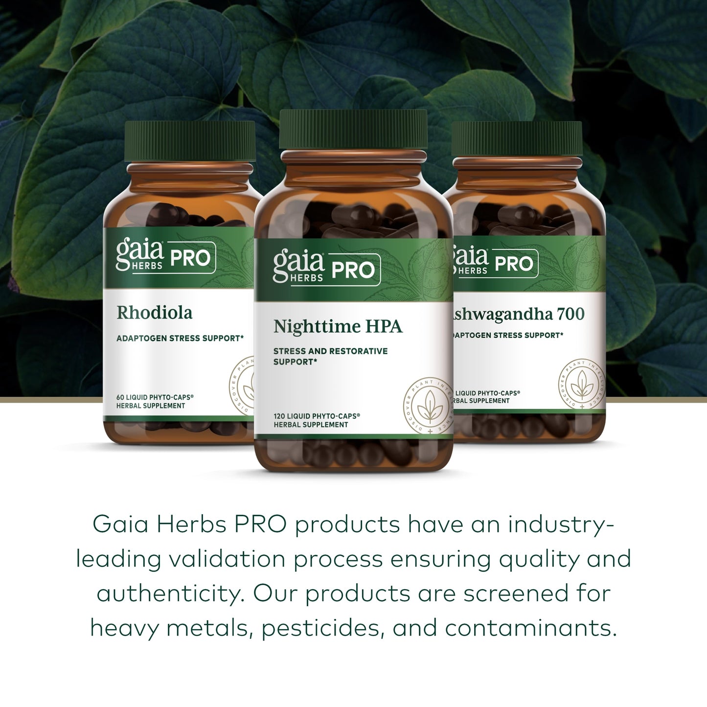 Gaia Herbs Pro Nighttime HPA - Restorative Sleep Support (120 Liquid Phyto-Caps)