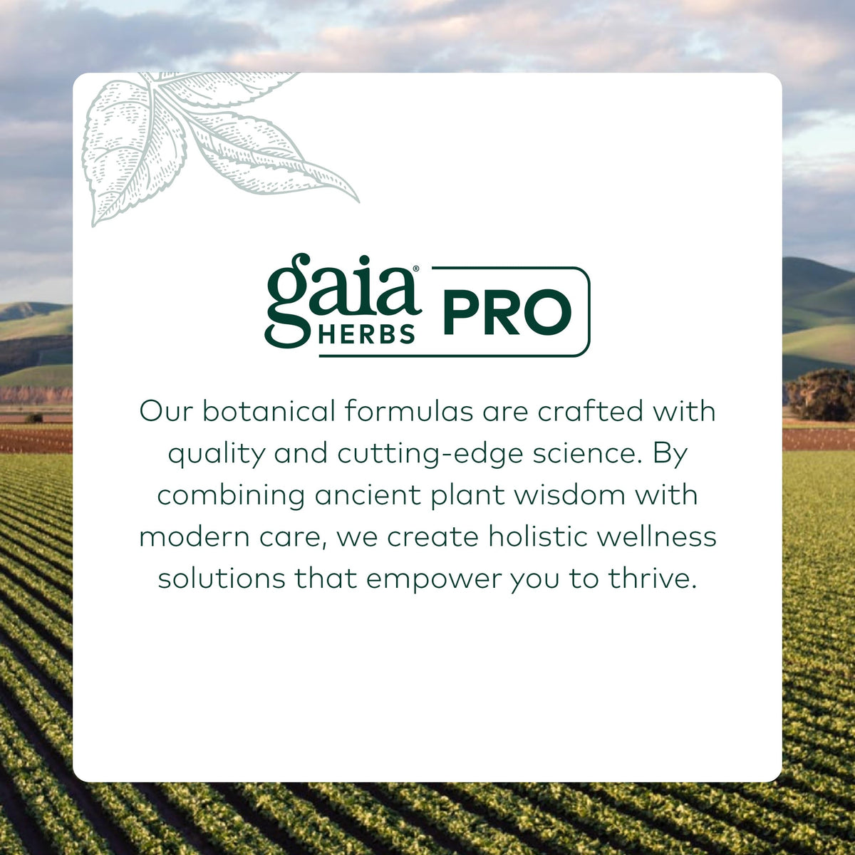 GAIA Herbs PRO Quercetin Synergy 500 – Immune & Cell Health, 100 Capsules