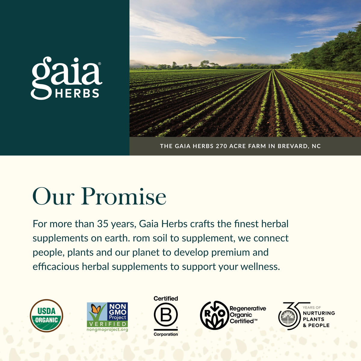 Gaia Herbs Organic Ashwagandha Gummies – Stress Support* | Cinnamon & Ginger | Gluten Free & Vegan | 81 Count