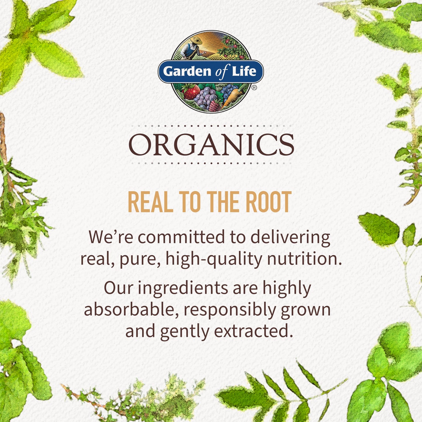 Garden of Life Organic Turmeric Extra Strength 100mg Curcumin – 120 Tablets